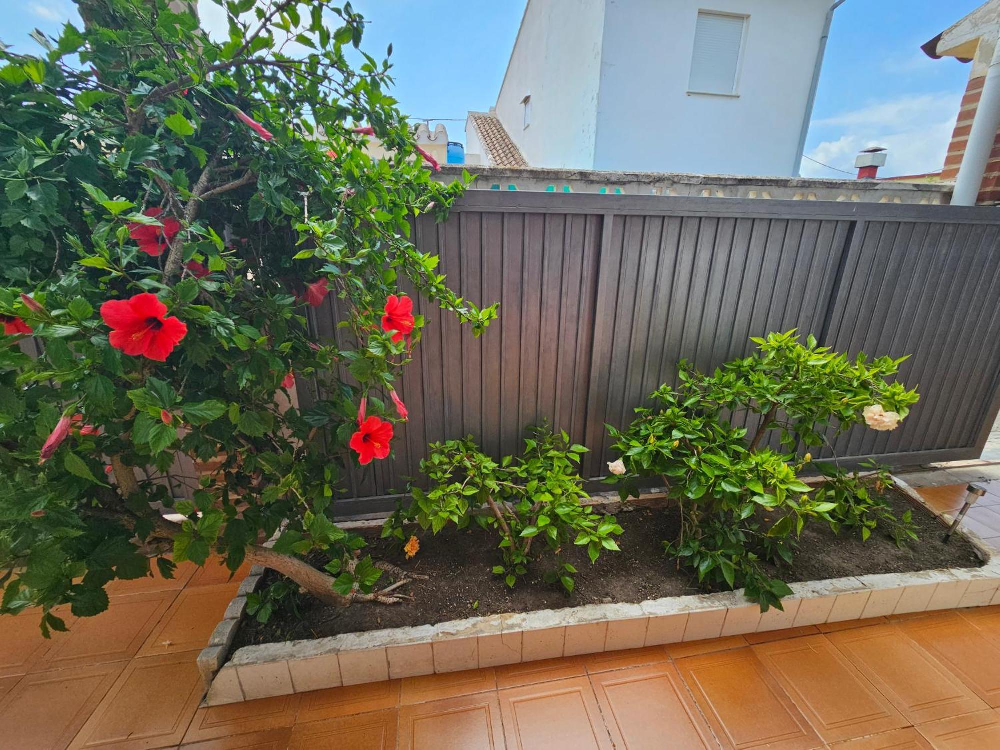 Casa De Playa En Oliva Al Lado Del Met Y Campo De Golf 빌라 외부 사진